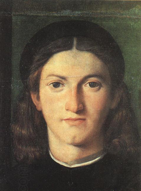 Lorenzo Lotto Head of a Young Man ff China oil painting art